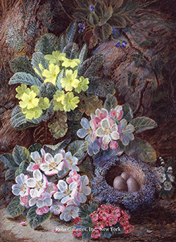 Still Life of Bird\'s Nest and Primroses - Oliver Clare