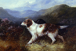 Two Setters in a Landscape - George Armfield