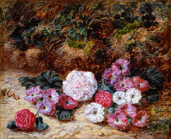 Camellias and Primulas - George Clare