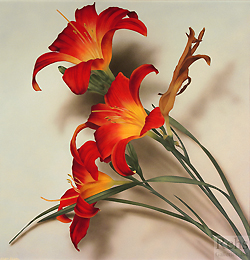 Day Lilies - John Kuhn