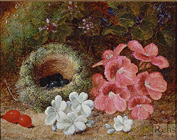 Flowers and a Bird\'s Nest - Oliver Clare