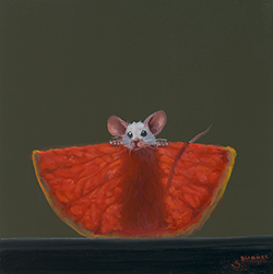 Grapefruit Xray 35 - Stuart Dunkel