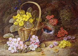 Still Life of Flowers and Bird\'s Nest - Vincent Clare