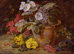 Still Life of Flowers in a Clay Pot - Vincent Clare